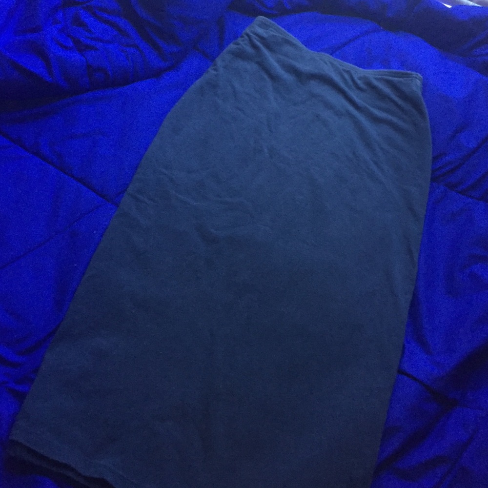 Blue Fitted Skirt
