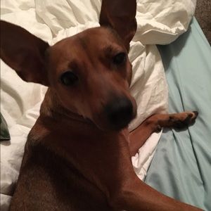 Meet your Posher, Melissa