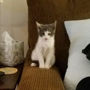 Meet your Posher, Ozgur