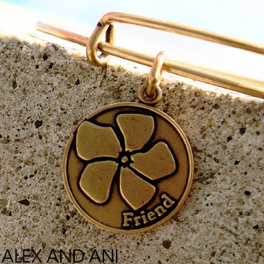Alex and Ani Friend Bracelet in Gold