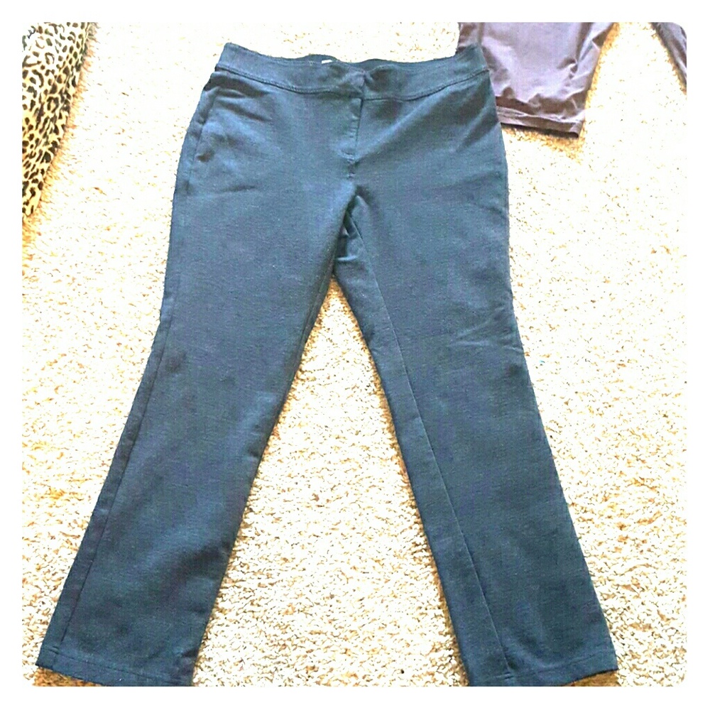 Laura Ashley charcoal gray pants size 14W