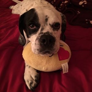 Meet your Posher, Donna