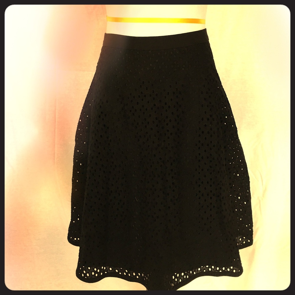 Ann Taylor Islet Skirt