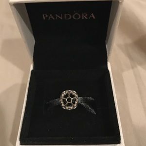 Pandora charm