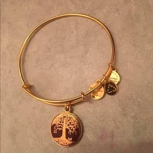 Alex and Ani Tree of Life Bracelet