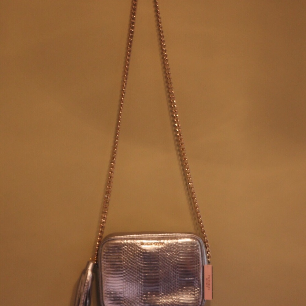 Large Silver Victoria Secret Holographic Purse!