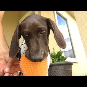 Meet your Posher, Eric