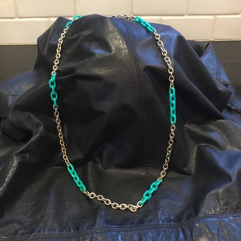 J Crew long chain link necklace