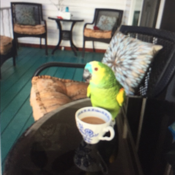 Meet your Posher, Cindy - Picture 3 of 4