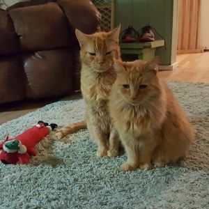 Meet your Posher, Ruth