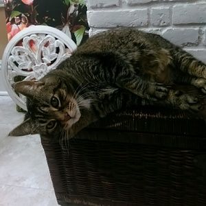 Welcome to my closet thanks for shopping!