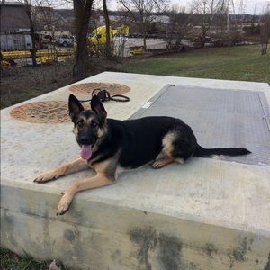 Meet your Posher, Kristopher