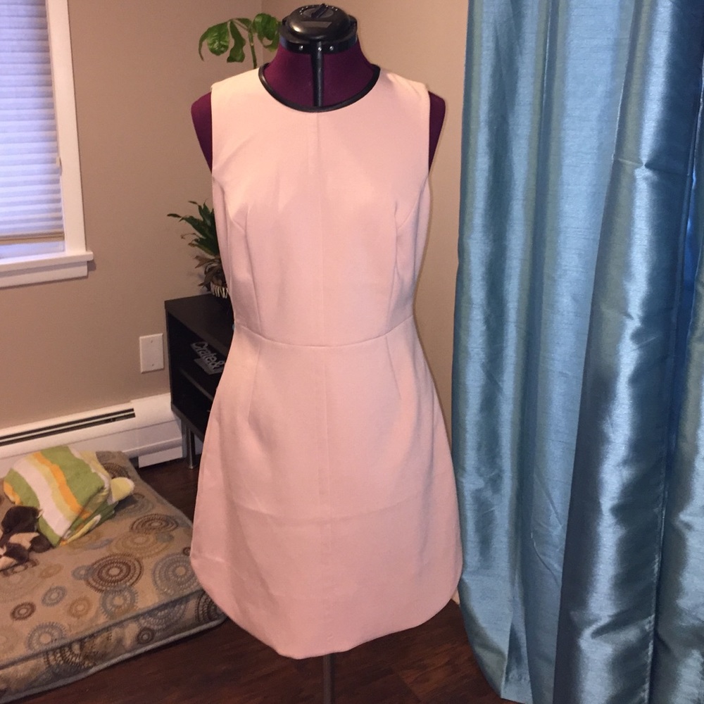 NWT Banana Republic light pink dress with pockets