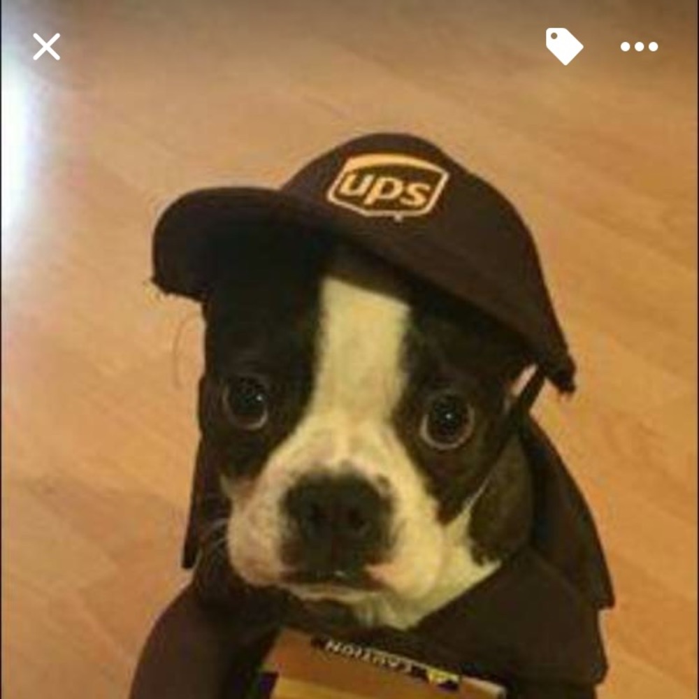 Meet your Posher, Patricia