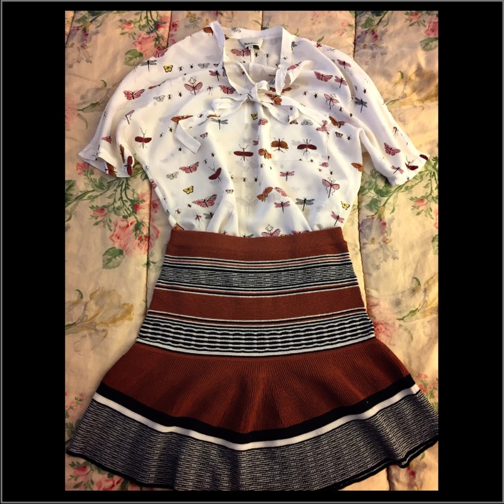 A set of a lovely blouse and a cute skirt (new)