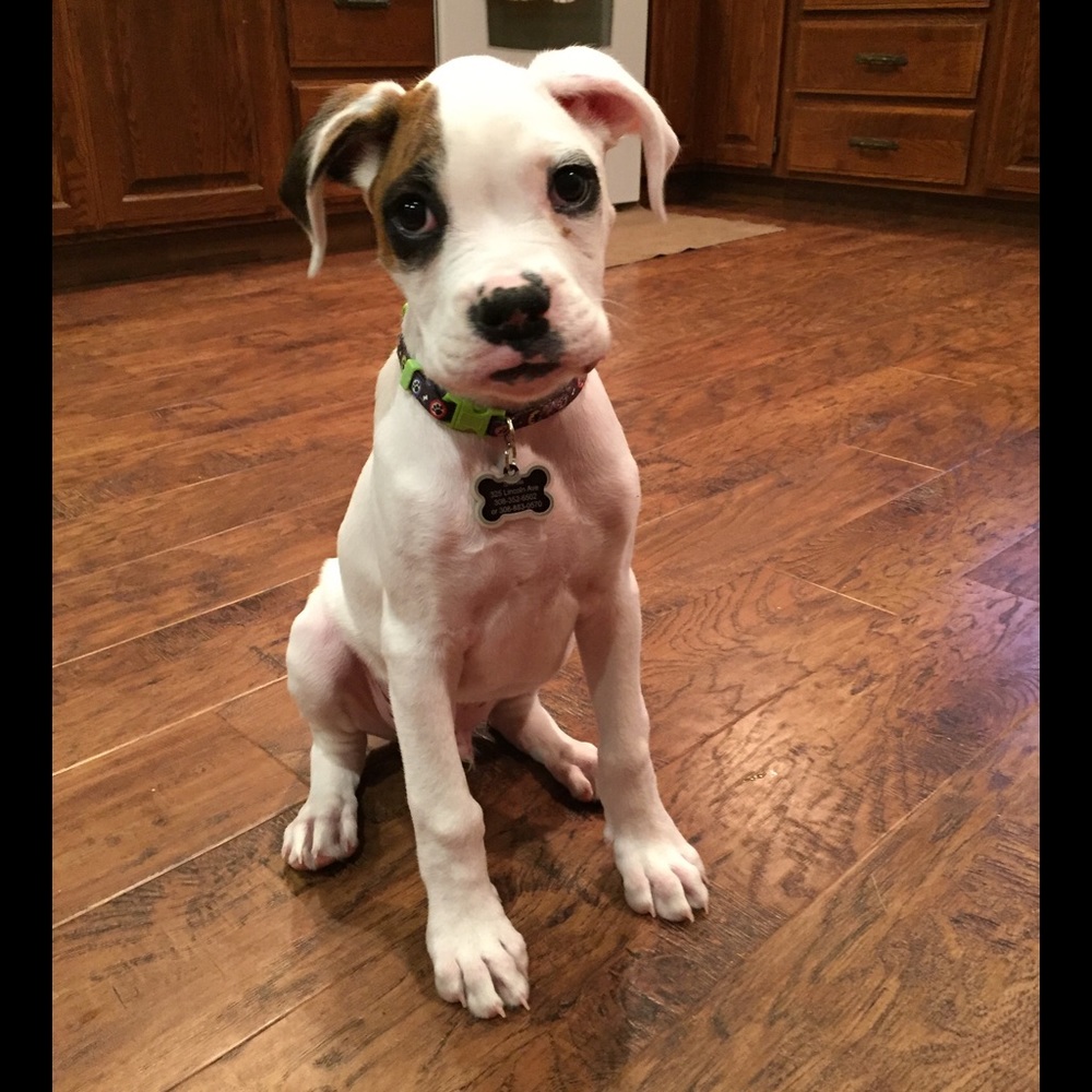 Meet your Posher, Wendy