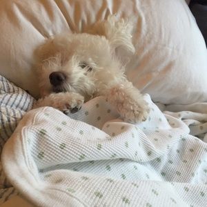 Meet your Posher, Becki