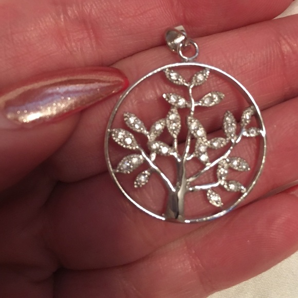 Not Sure Jewelry - NWOT Silver charm necklace