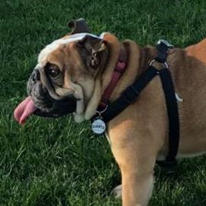 Meet your Posher, Nick