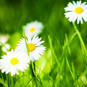 Meet your Posher, Robin