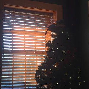 Meet your Posher, Shauna