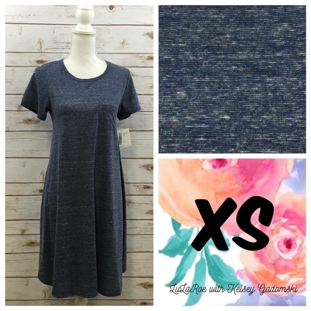 BNWT LuLaRoe Carly dress size XS microstripe Blue