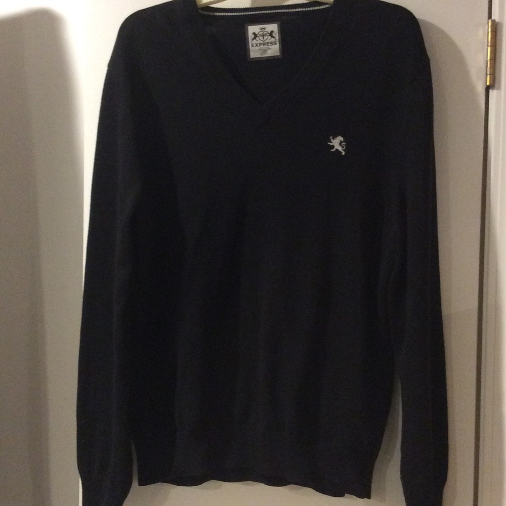 EXPRESS Sweater EUC
