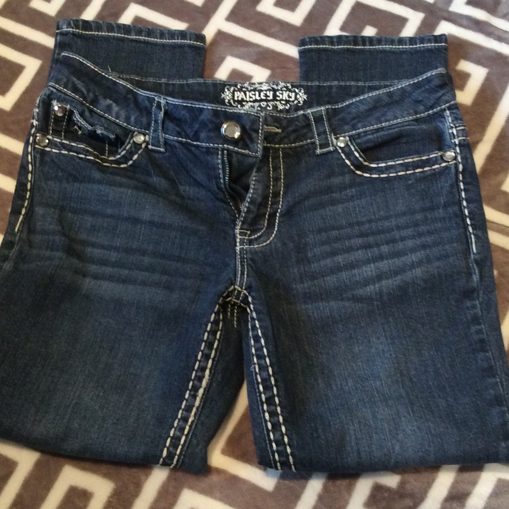 Paisley Sky Jeggings Sz 8