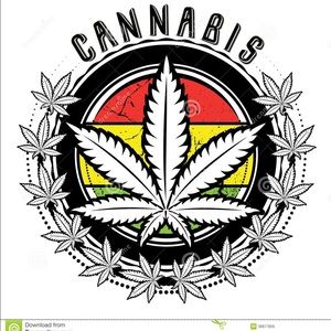 Meet your Posher, Holden