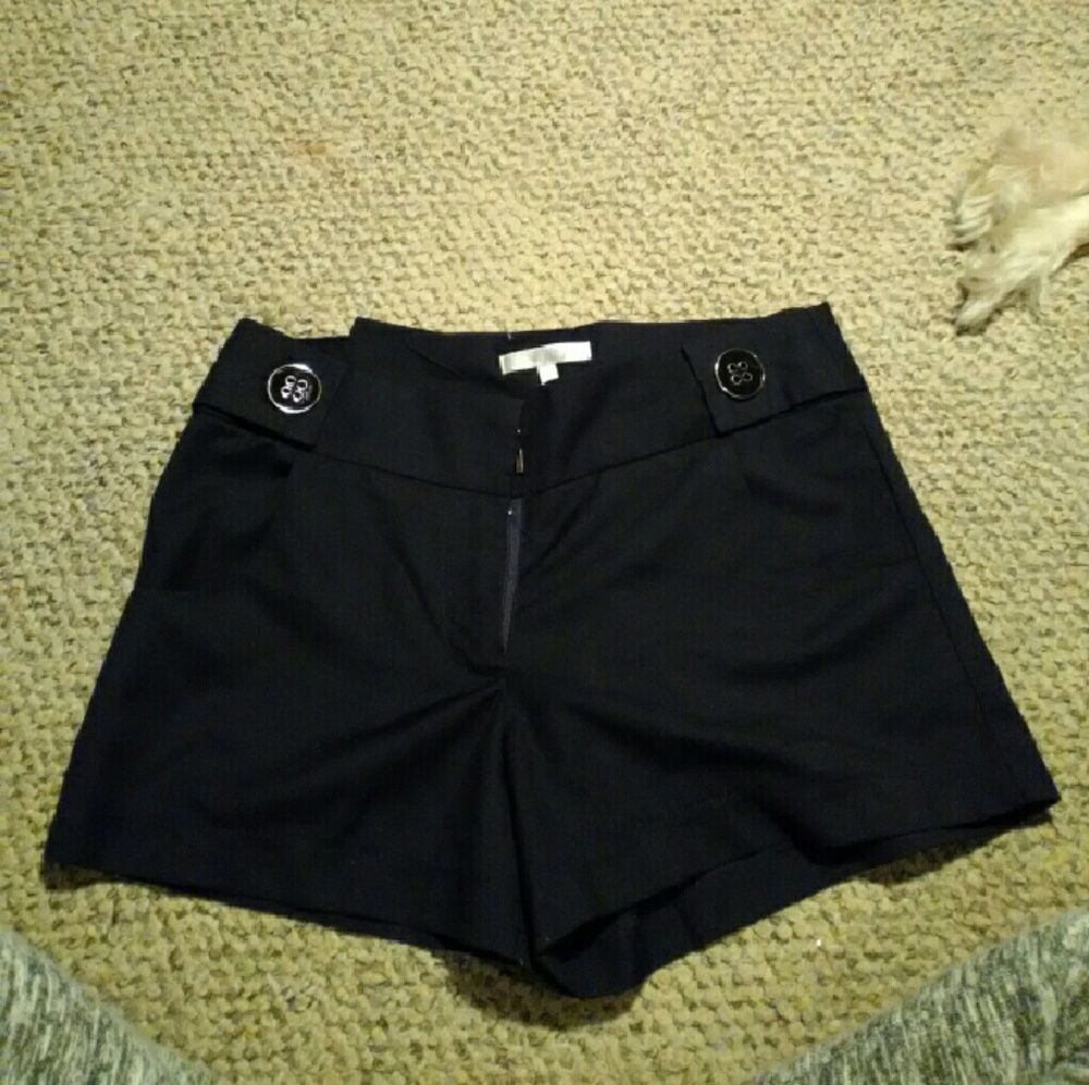 Dressy shorts