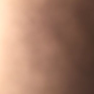 Meet your Posher, Bo