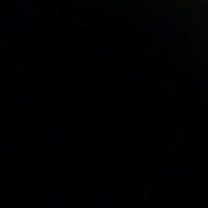 Meet your Posher, Bryce