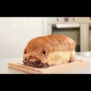 Meet your Posher, Kayce