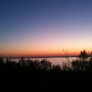 Meet your Posher, Claude