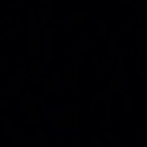 Meet your Posher, Malik