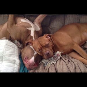 Meet your Posher, Jody