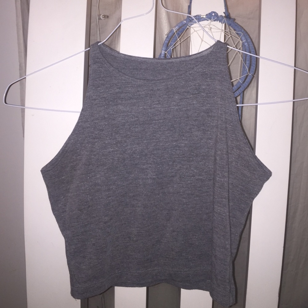 American Apparel Gray Top