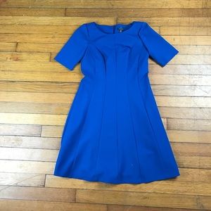 Blue Ann Taylor petite dress