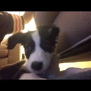 Meet your Posher, Brett