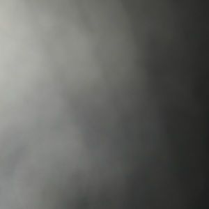 Meet your Posher, Sidney