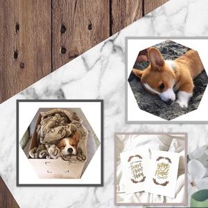 Meet your Posher, Velenzia