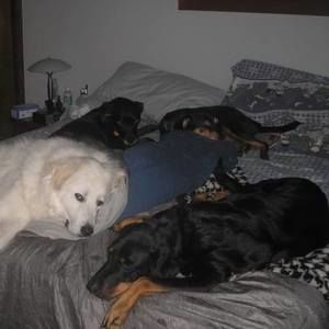 Meet your Posher, Alison