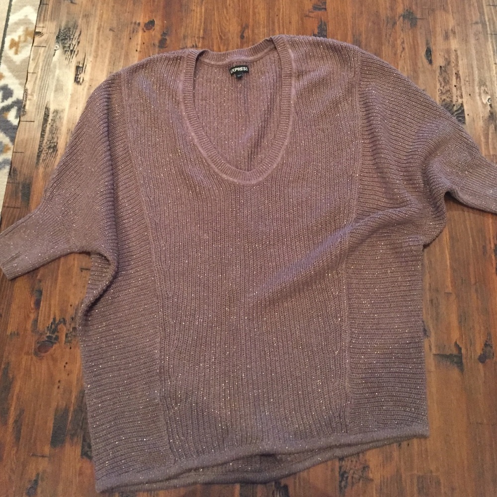 Express beautiful brown and gold sparkle sweater