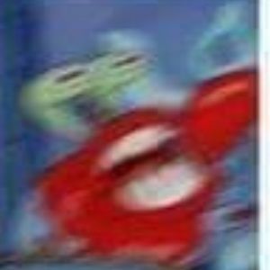 Meet your Posher, Campa