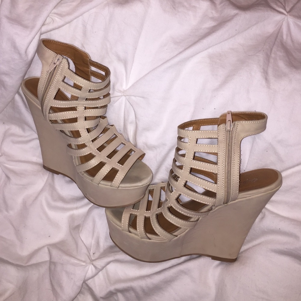 Caged wedges