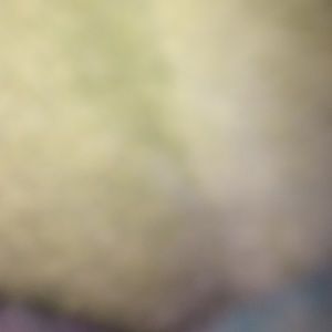 Meet your Posher, Roxana