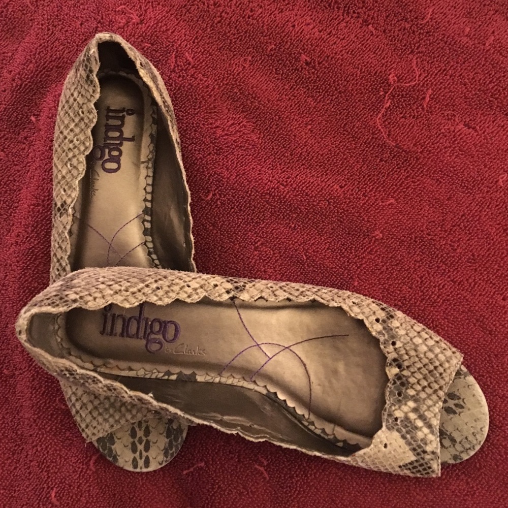 Snake print Indigo by Clarks!