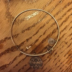 Alex and Ani love birds bracelet