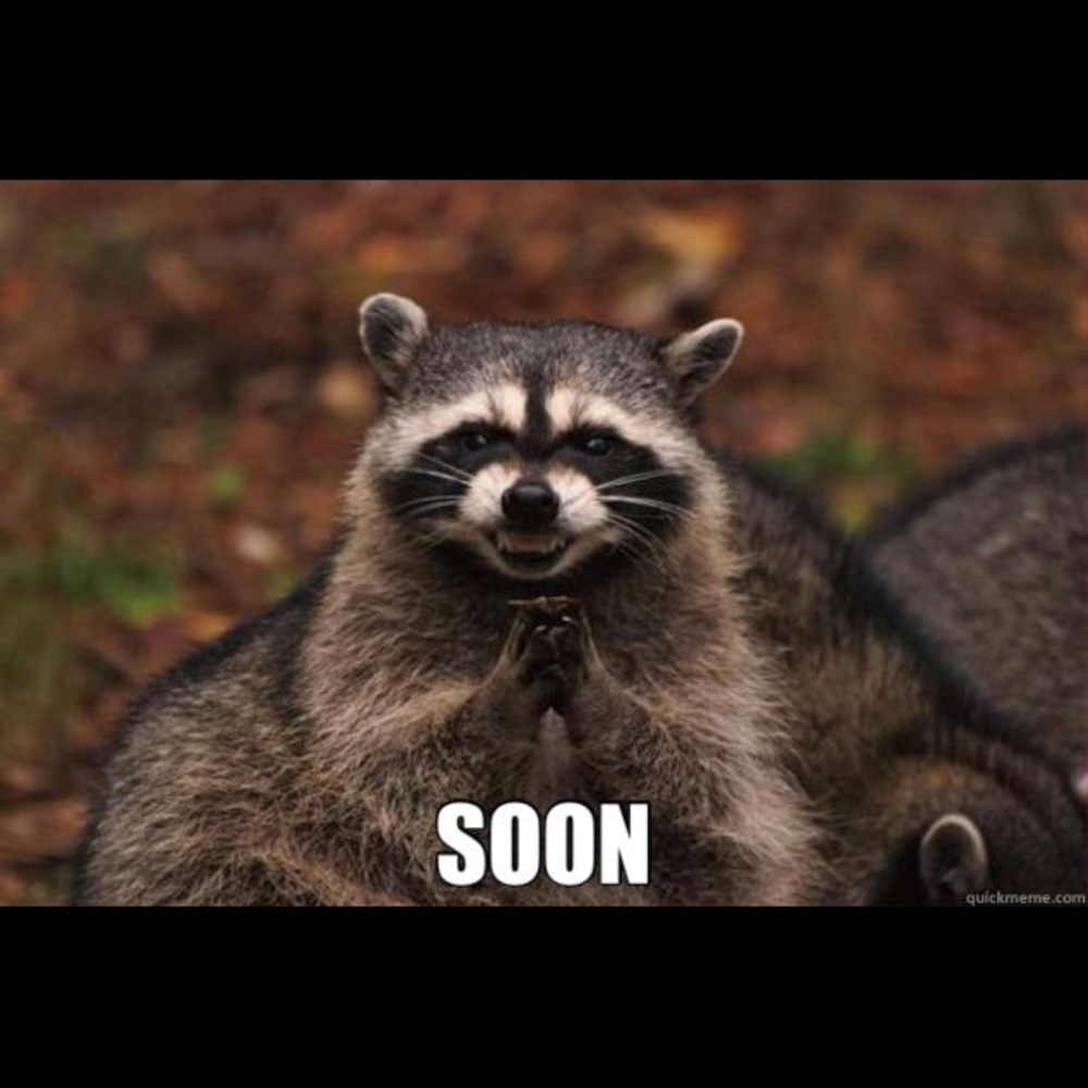 Meet your Posher, Cindy