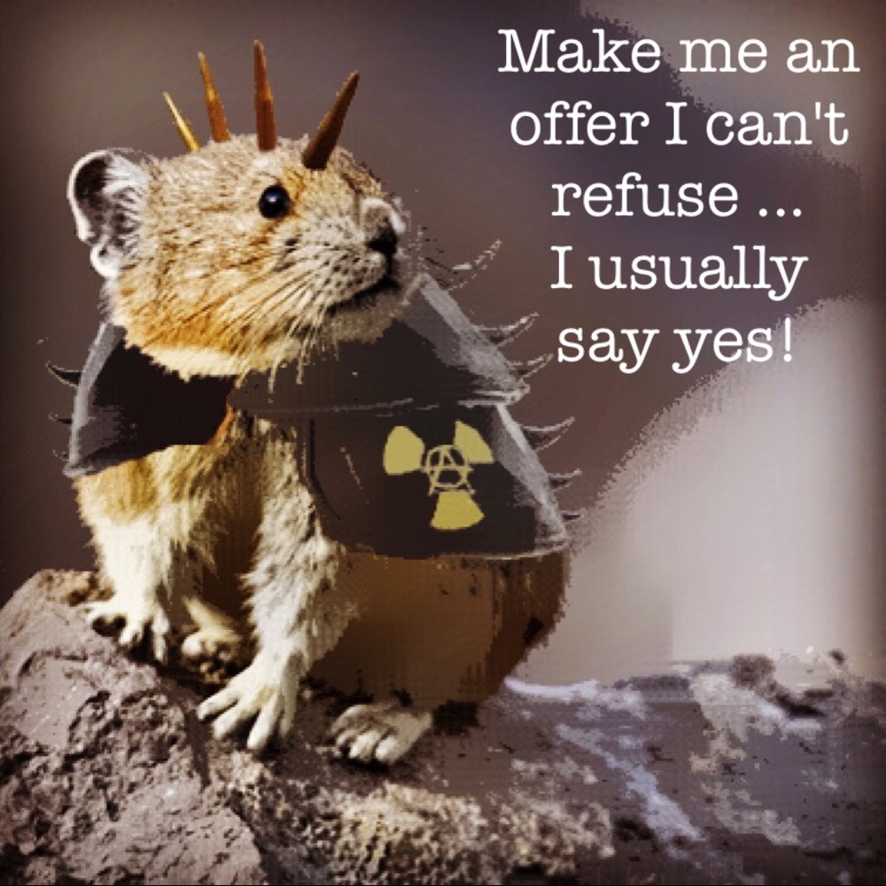 Meet Casey at Datura Art Handmade Boutique ! - Picture 14 of 16